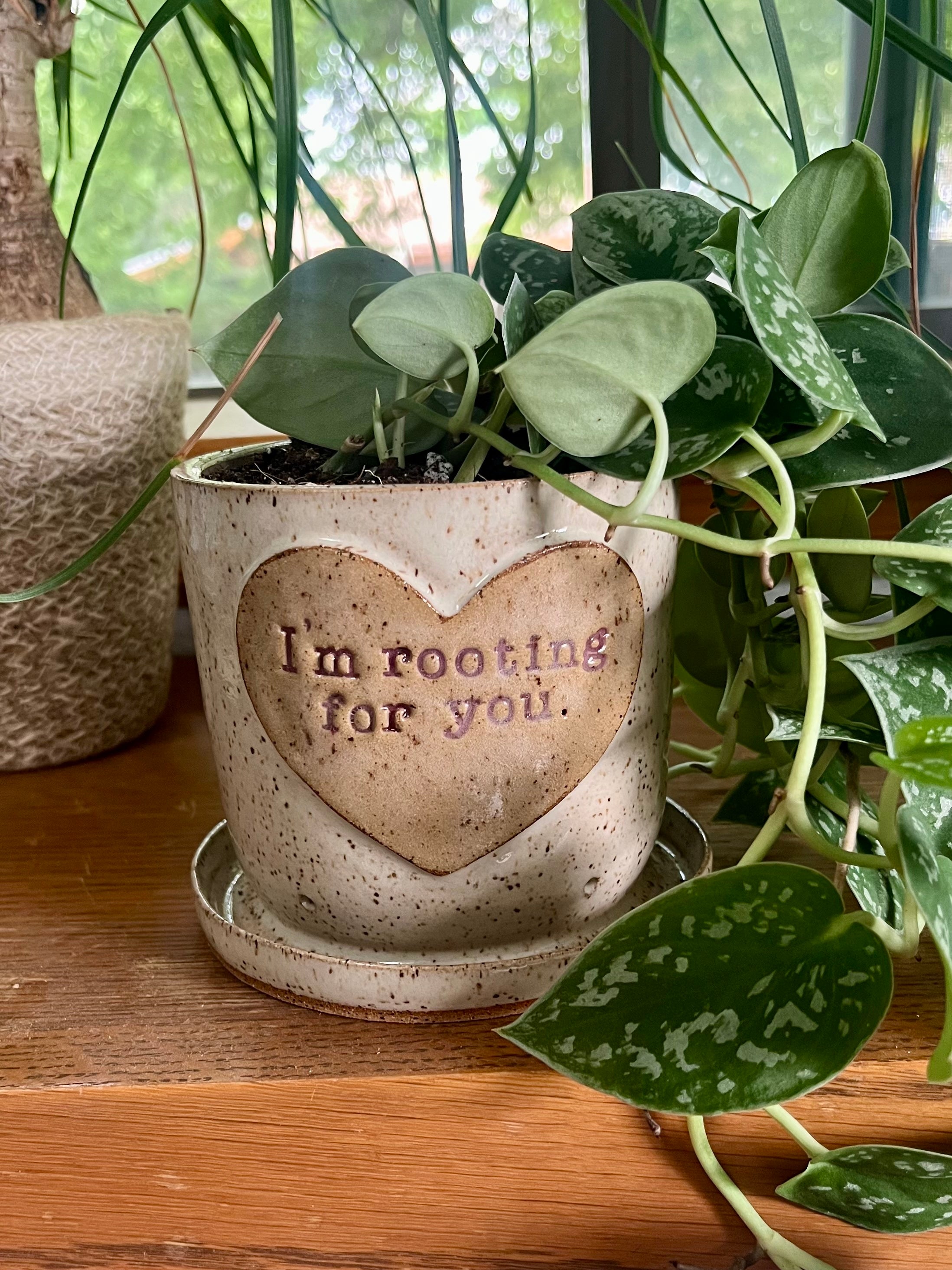 "Blink twice if you need water" 4-ish" planter