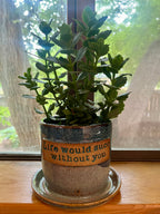 A potted green succulent plant in a handmade ceramic pot with an attached saucer, placed on a wooden windowsill. The pot features a blue speckled glaze, a tan band with the text 'Life would succeed without you' in dark lettering, and a beige speckled lower section.
