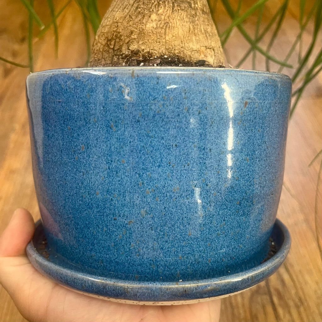 "I'm rooting for you" 4-ish inch planter