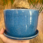 "I'm rooting for you" 4-ish inch planter
