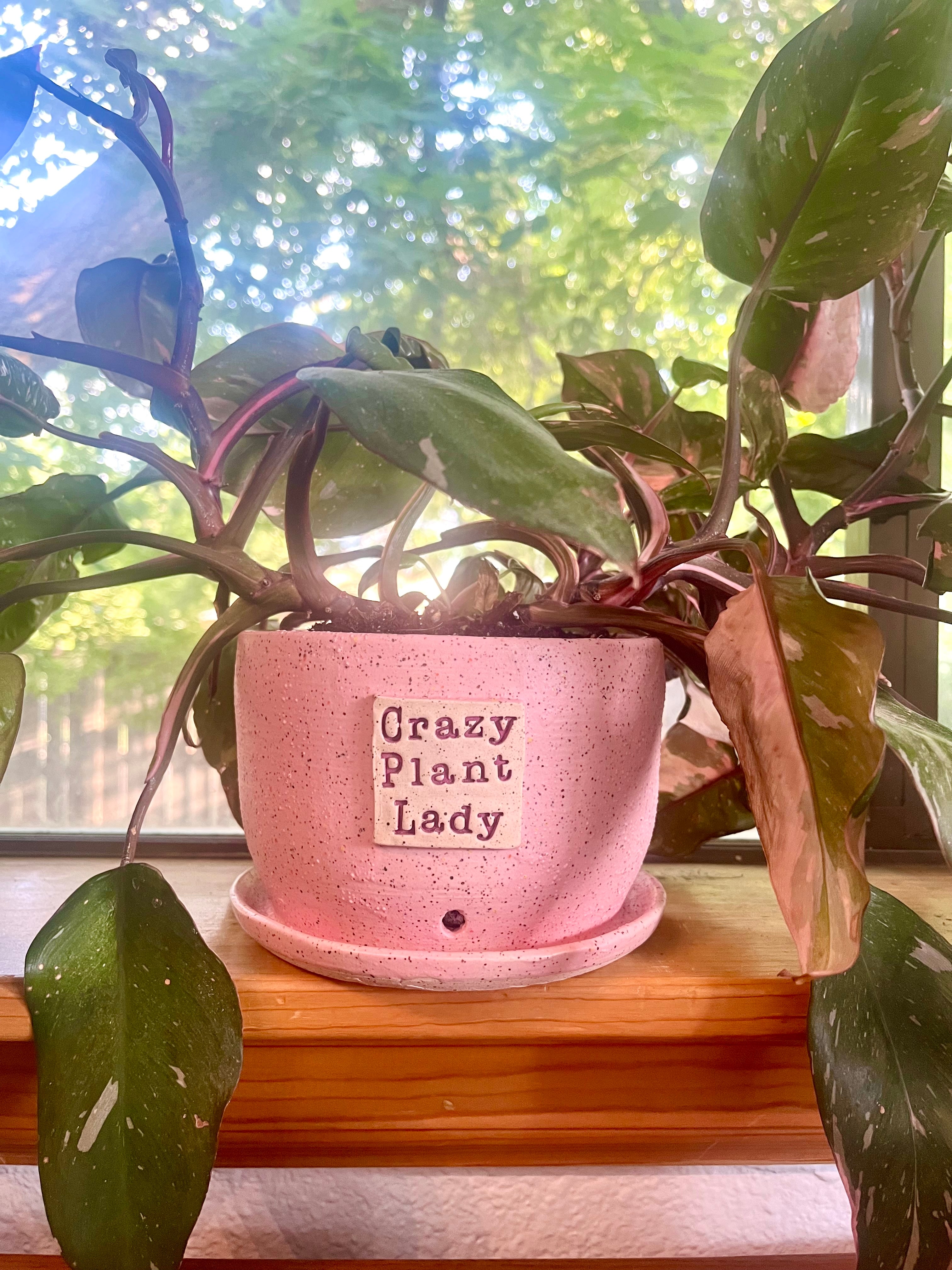 "Crazy Plant Lady" 4-ish" planter