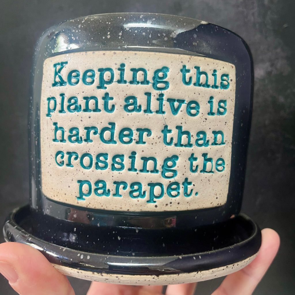 Crossing the Parapet Wall-Hanging Planter