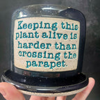 Crossing the Parapet Wall-Hanging Planter