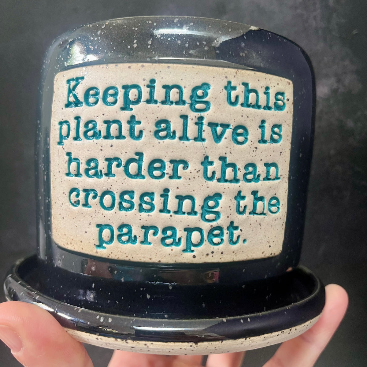 Crossing the Parapet Wall-Hanging Planter