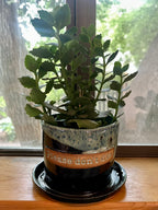 A green leafy houseplant in a handmade ceramic pot with an attached saucer, placed on a wooden windowsill with a window and outdoor greenery visible in the background. The pot has a speckled black and white glaze, a tan band with the text 'Please don't die', and a dark brown base.