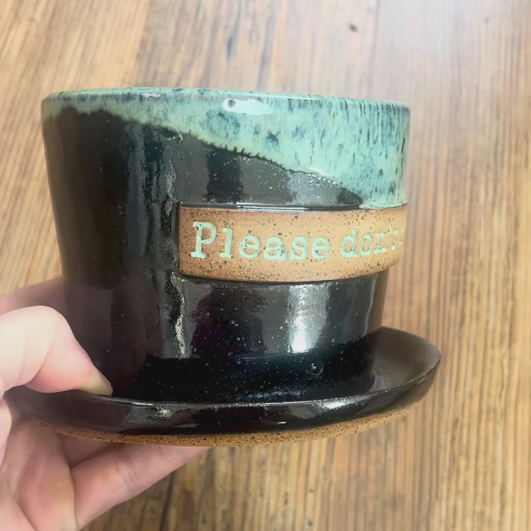 a video rotating around a "please don't die" planter
