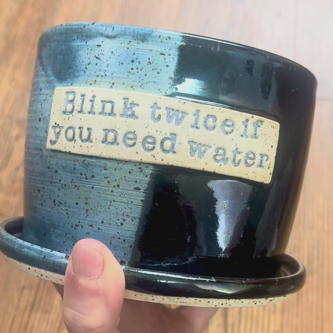 A video rotating around a planter labeled with "Blink twice if you need water."