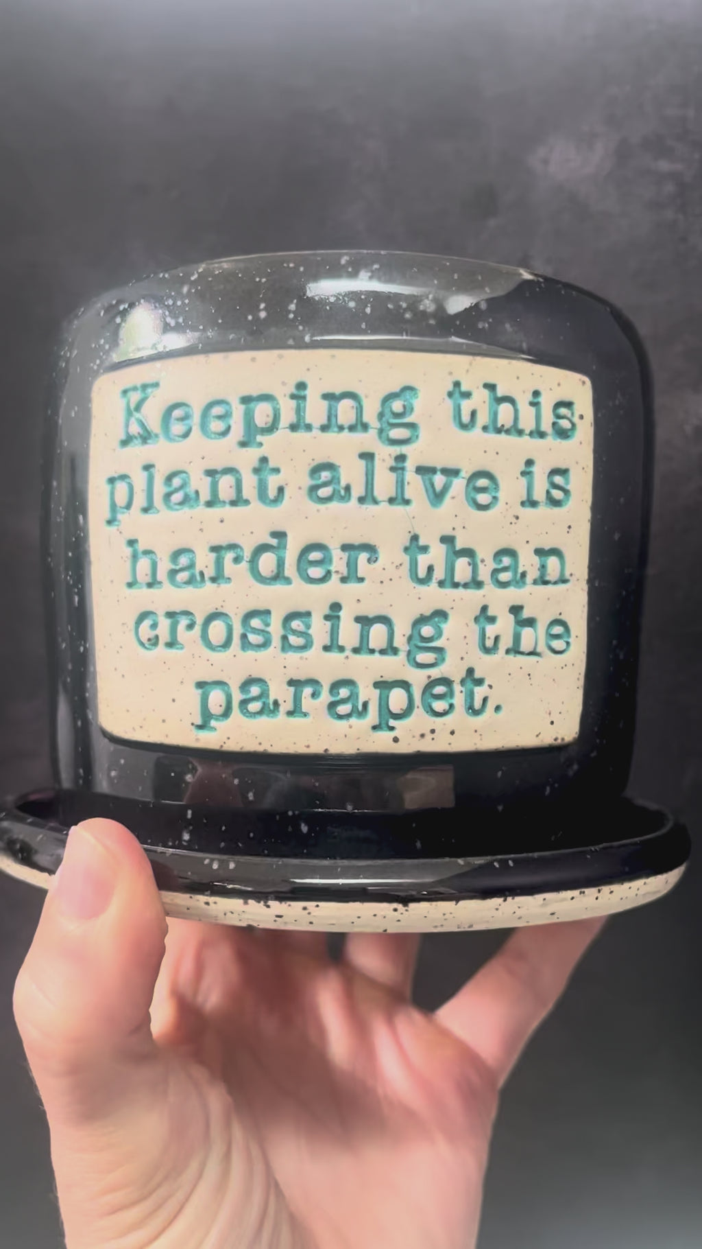 Crossing the Parapet Wall-Hanging Planter
